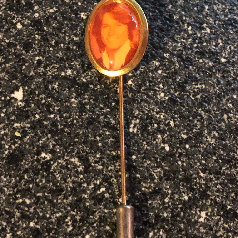 Vintage 1970’s Collectable Andy Gibb Lapel Pin Rare